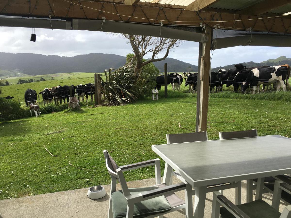 Chalet Cullen, Hotel Mangawhai Exterior photo